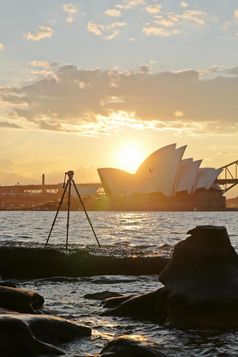 宝藏脚架推荐 三色可选，可山可海的碳丝缠绕摄影摄像神器