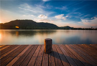 光影初绽 只学习1个月学生的摄影作品，你见过吗？