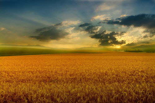 凝眸瞬息 捕捉大自然的绝美诗篇