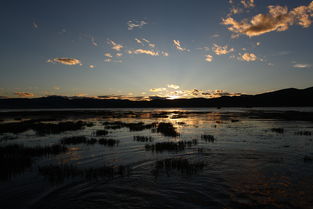 光影瞬间 摄影比赛参赛作品大观